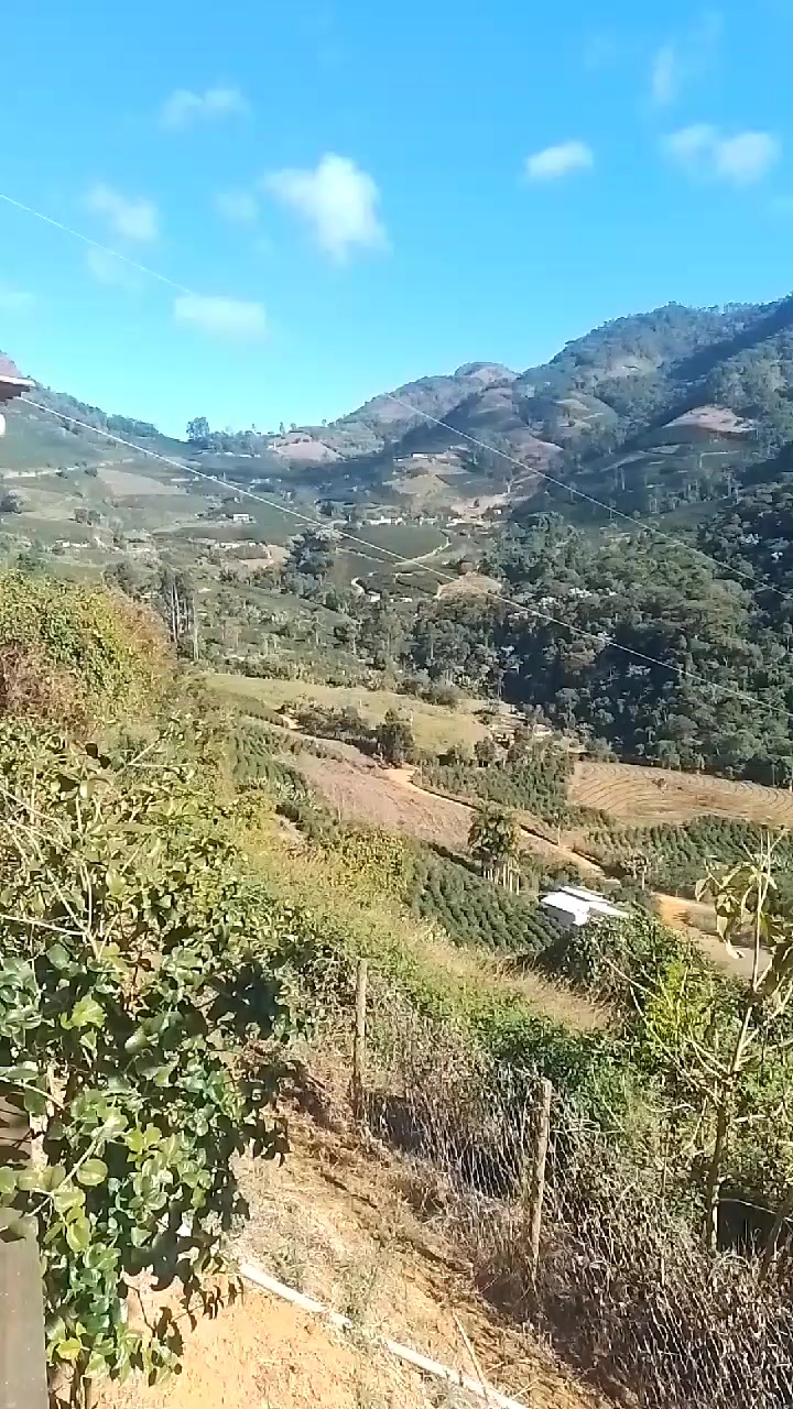 @Dr Vinícius Ribeiro| Psicólogo