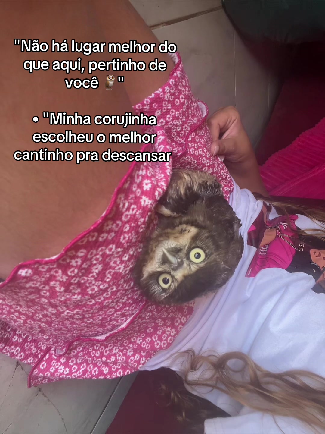 @🦋eloaterraoficial🦋