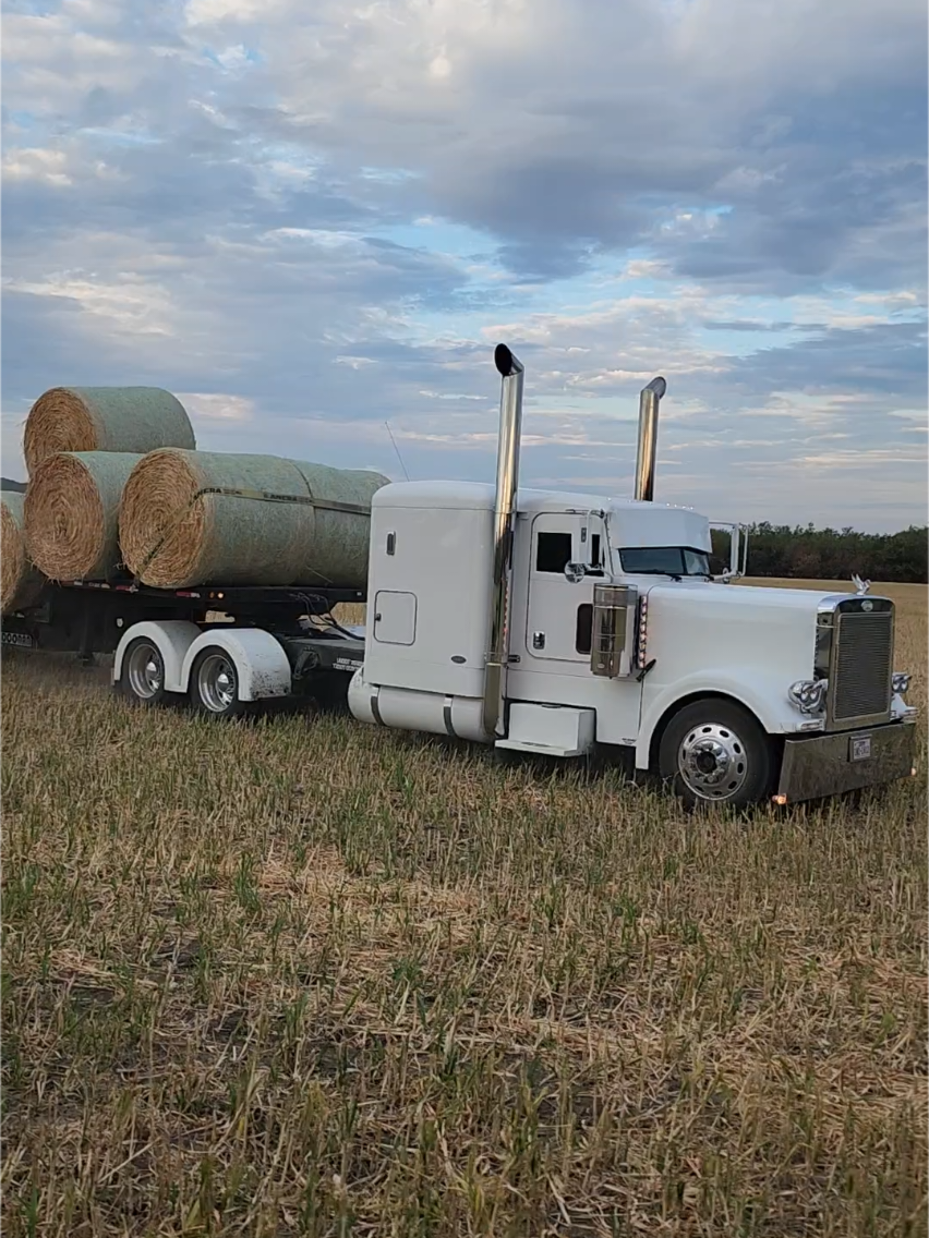 @gmmtrucking389