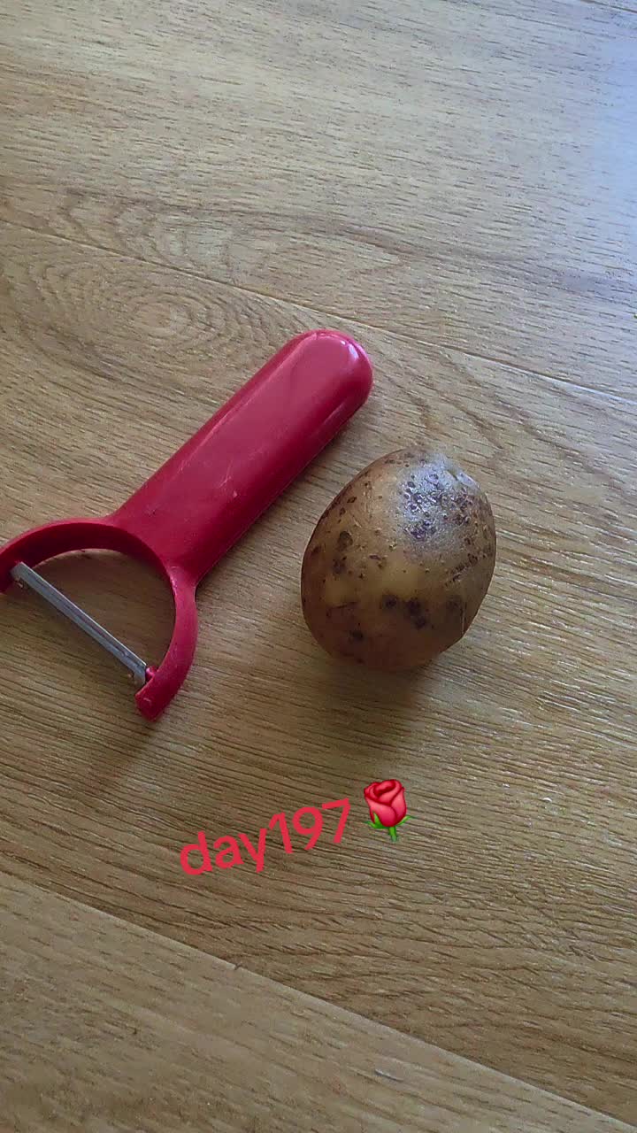 @OneTaterGirl🥔