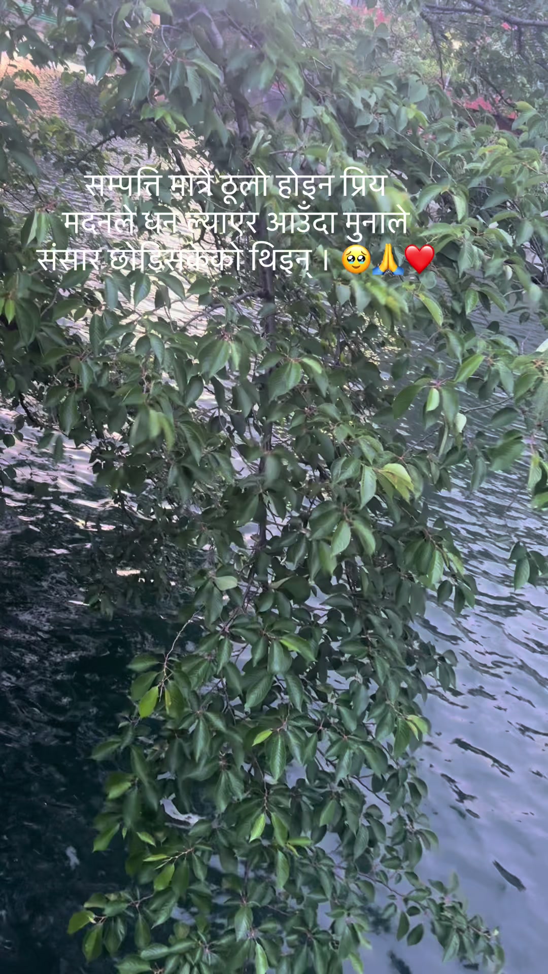 @SanuЁЯз┐ЁЯЗпЁЯЗ╡