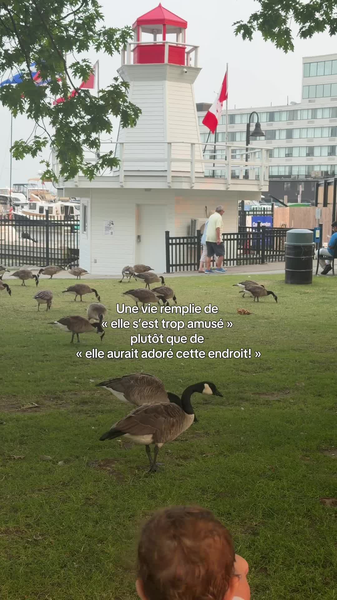 @millesvoyages