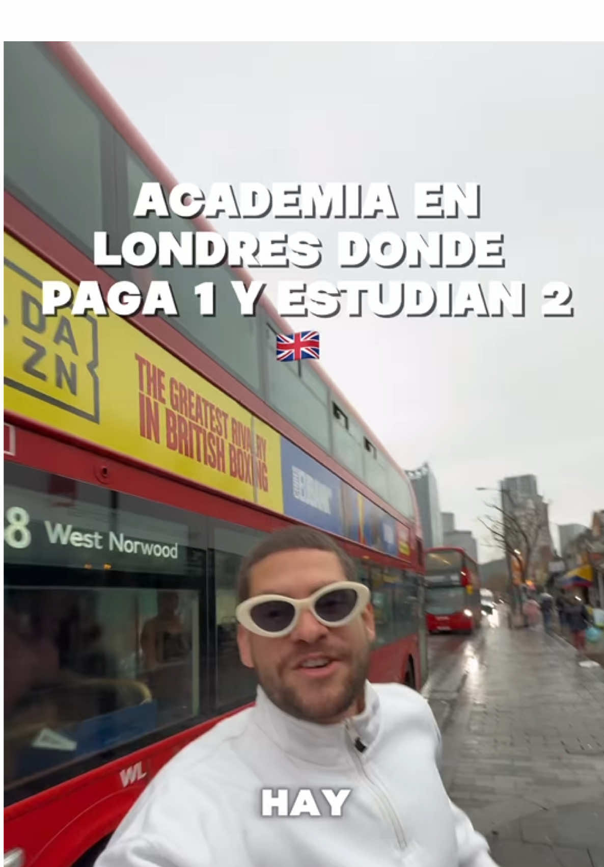 @thegreatlionacademy