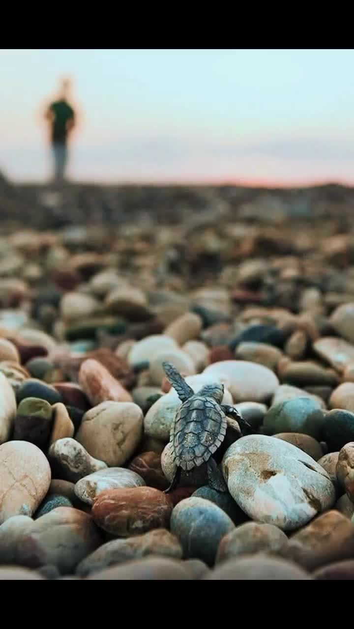 @InterLiricsG 🎶