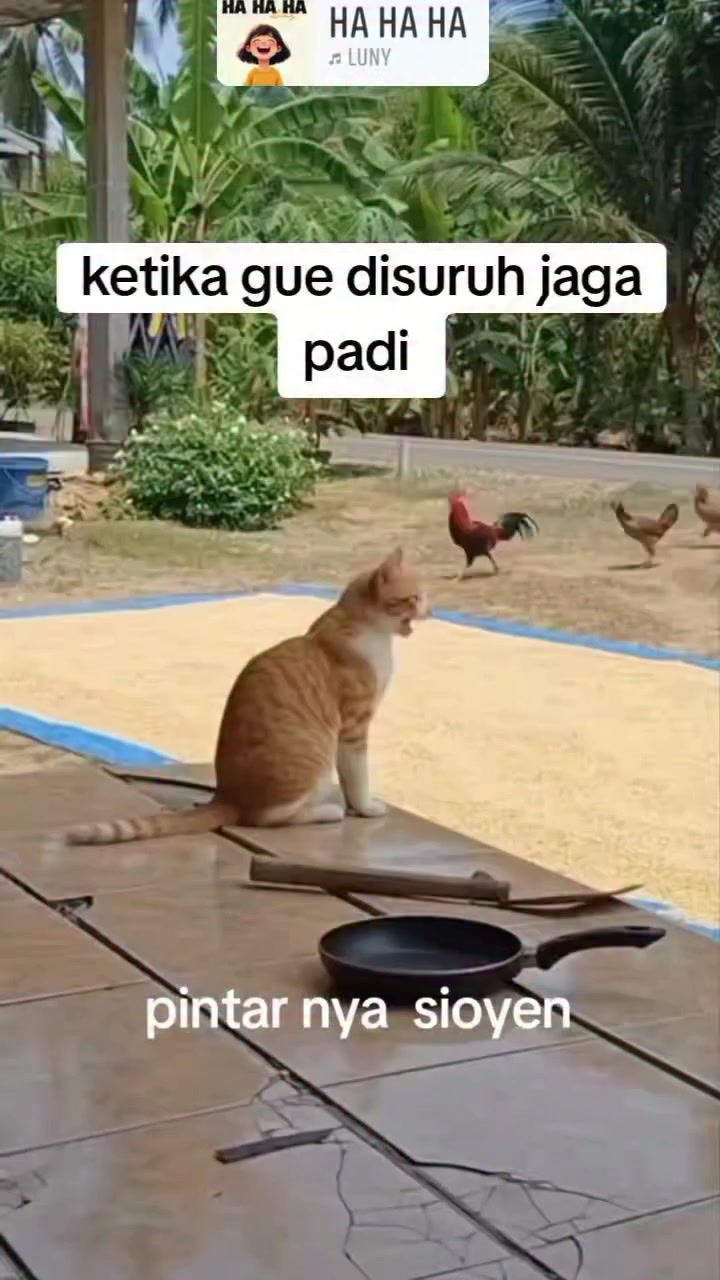 @dwikaputramahardika