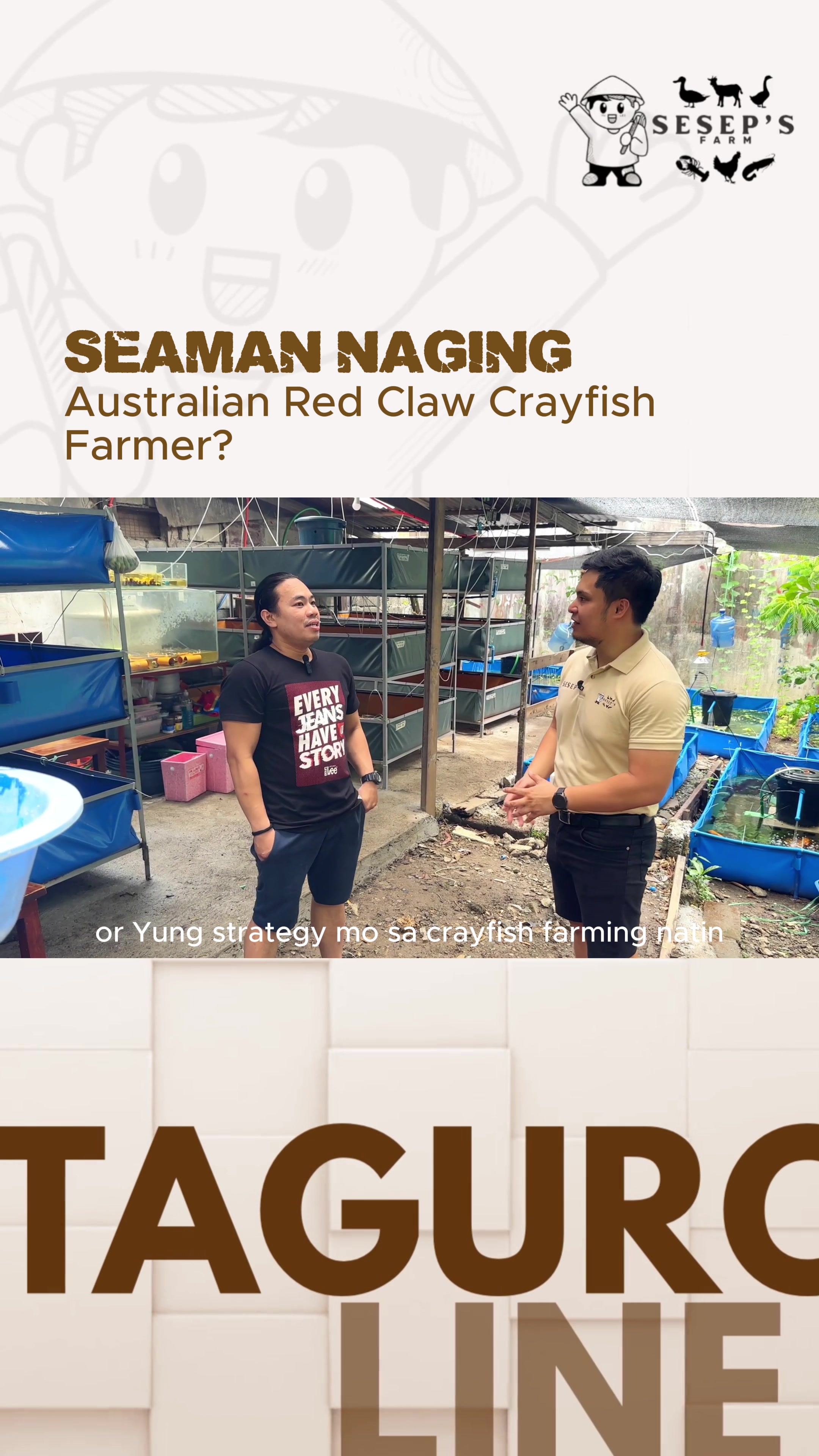 @Seseps Farm
