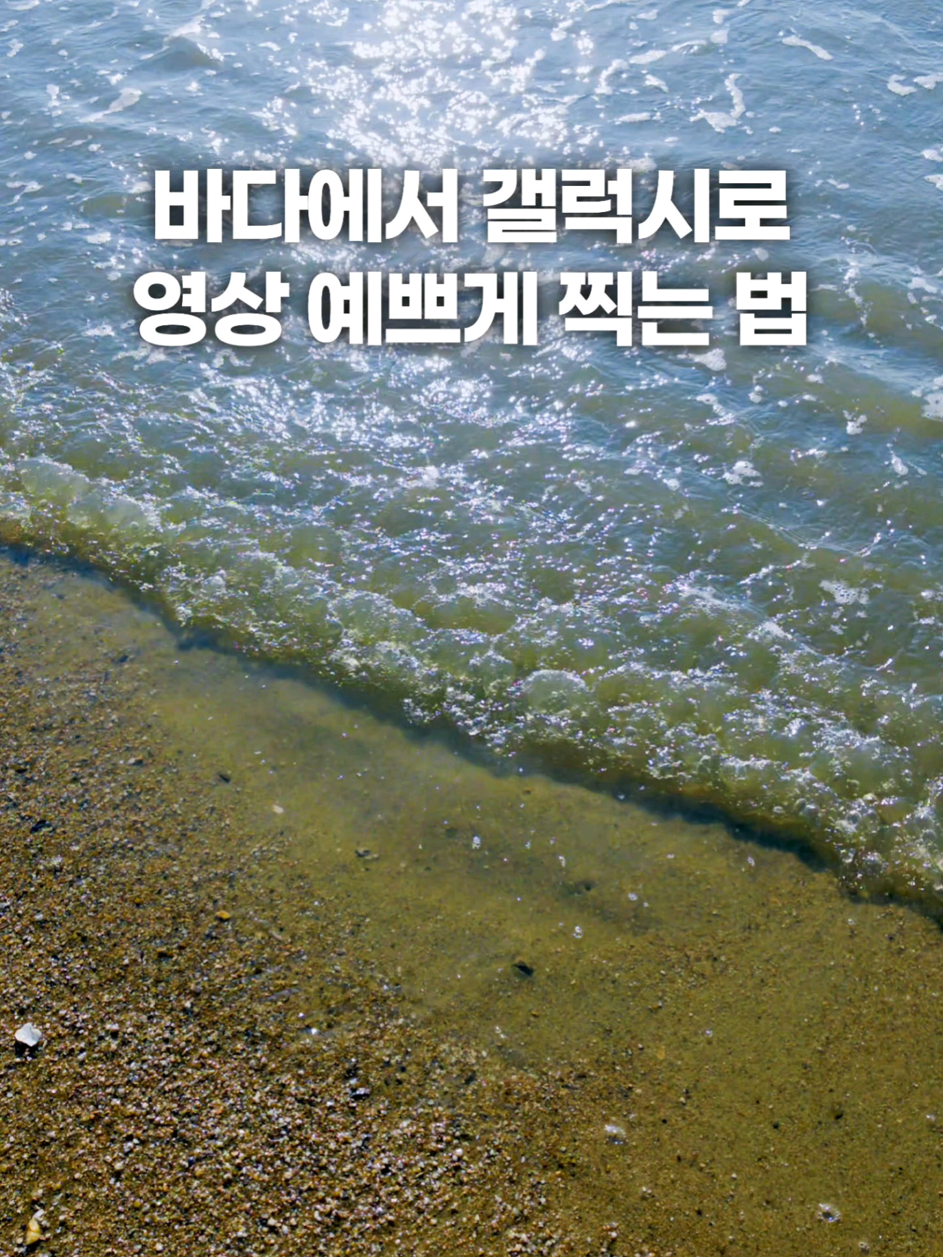 @주니웨어 주니
