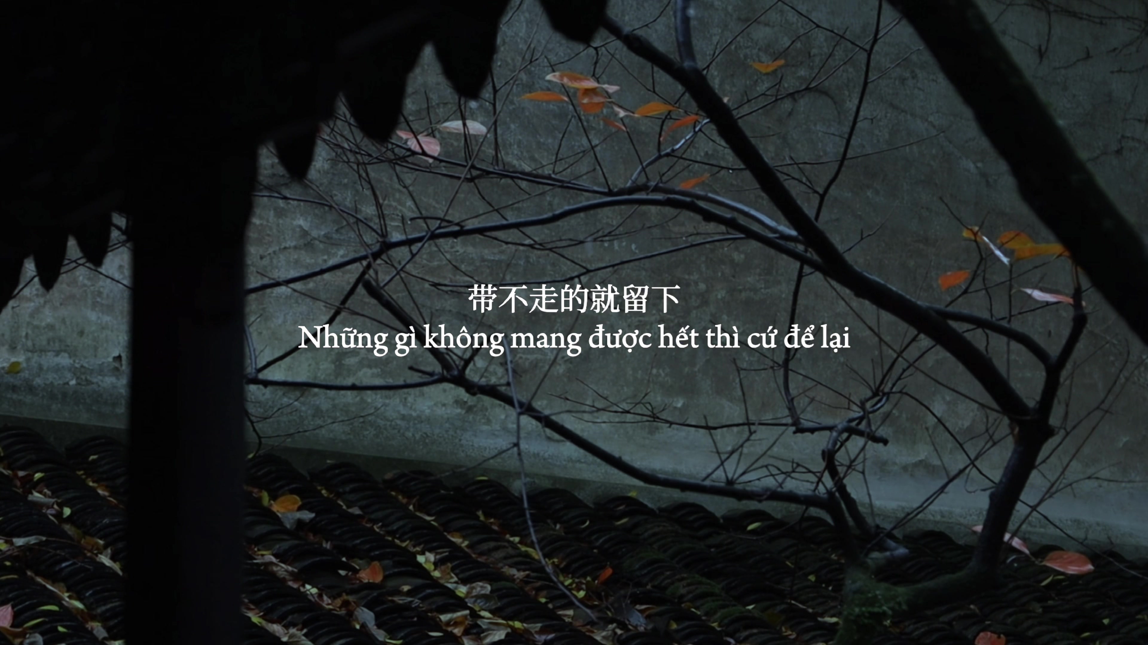 @𝒐 𝒅𝒂𝒚 𝒄𝒐 𝒏𝒉𝒂𝒄