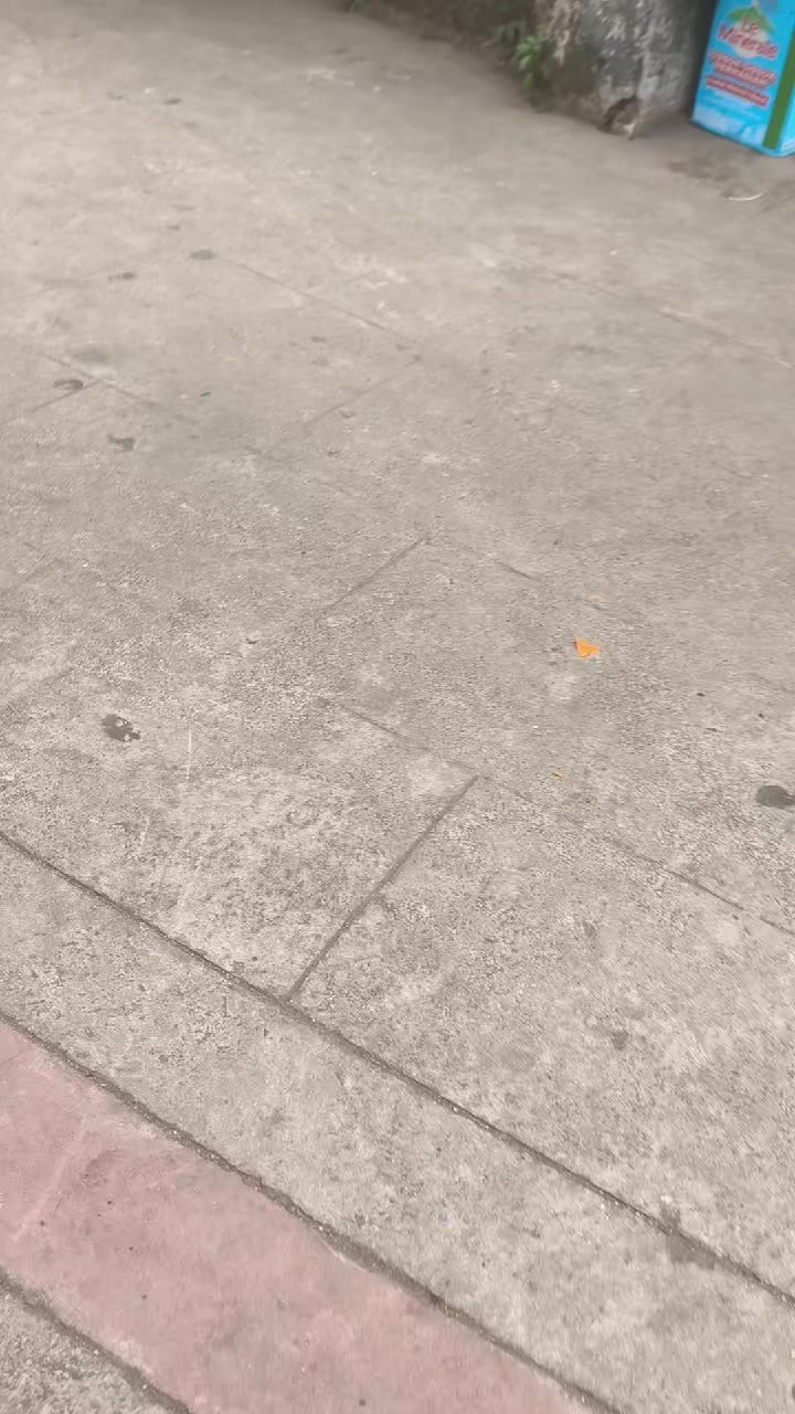 @CC201 83