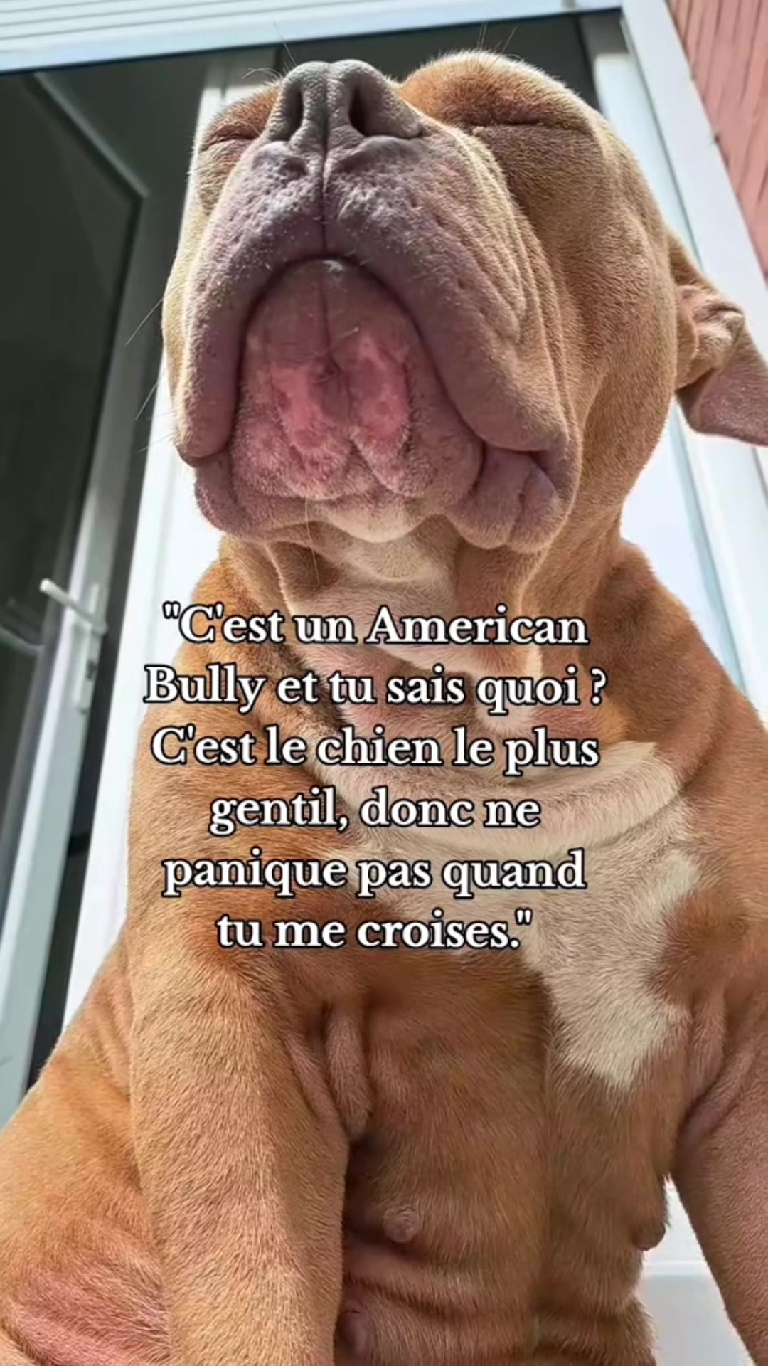 @🧩team bully🐶🧸 CB59 😂