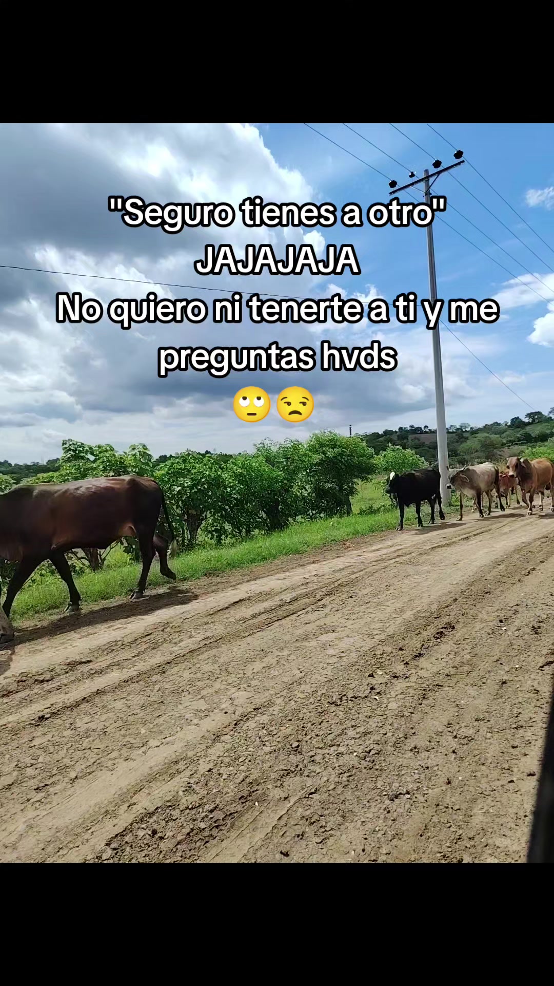 @🌺kary🌺