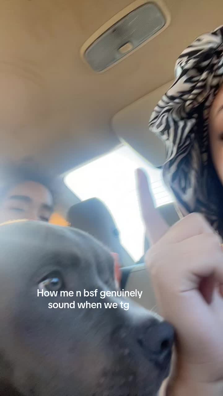 @𝒩𝒶𝓉