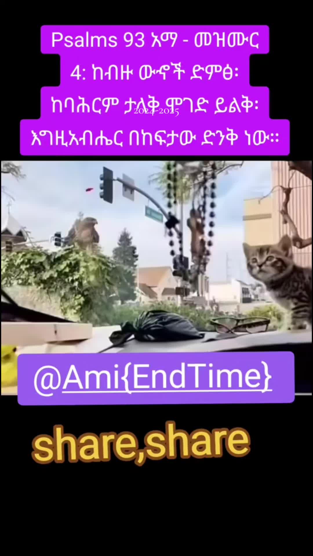 @Ami {End Time}