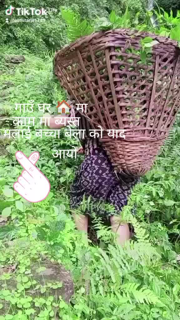 @Rai Asmita