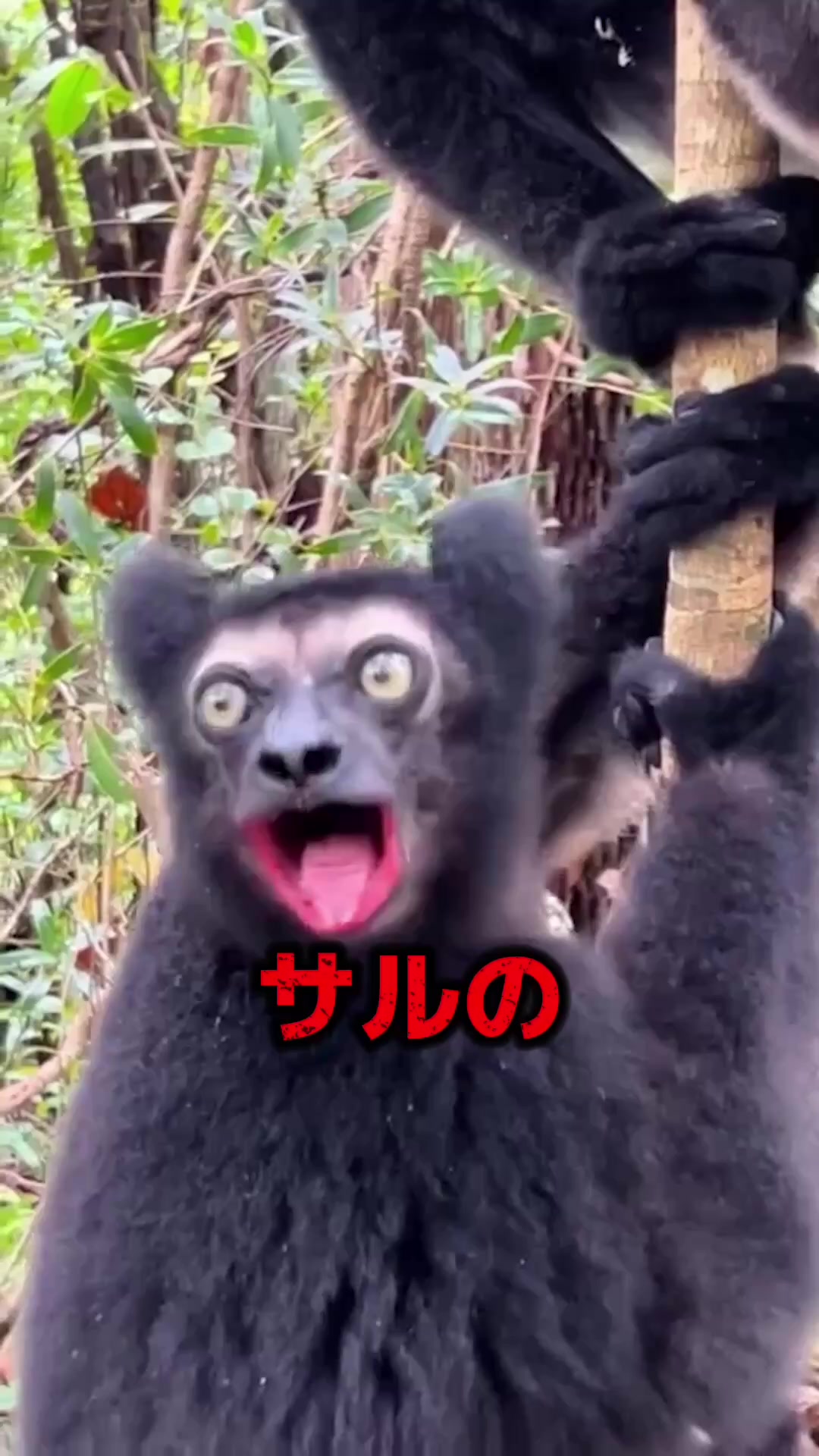 @八海