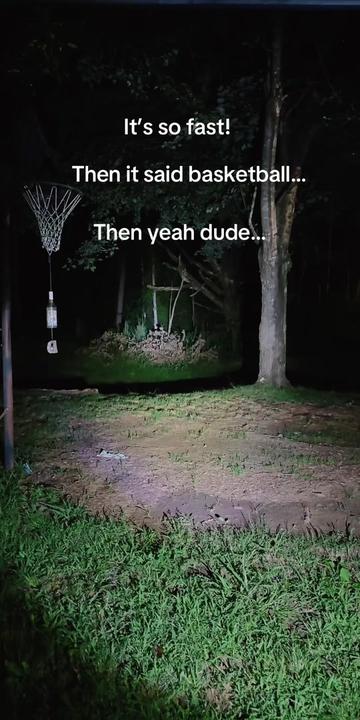 @🕯️✨Porchlight Paranormal✨🕯️