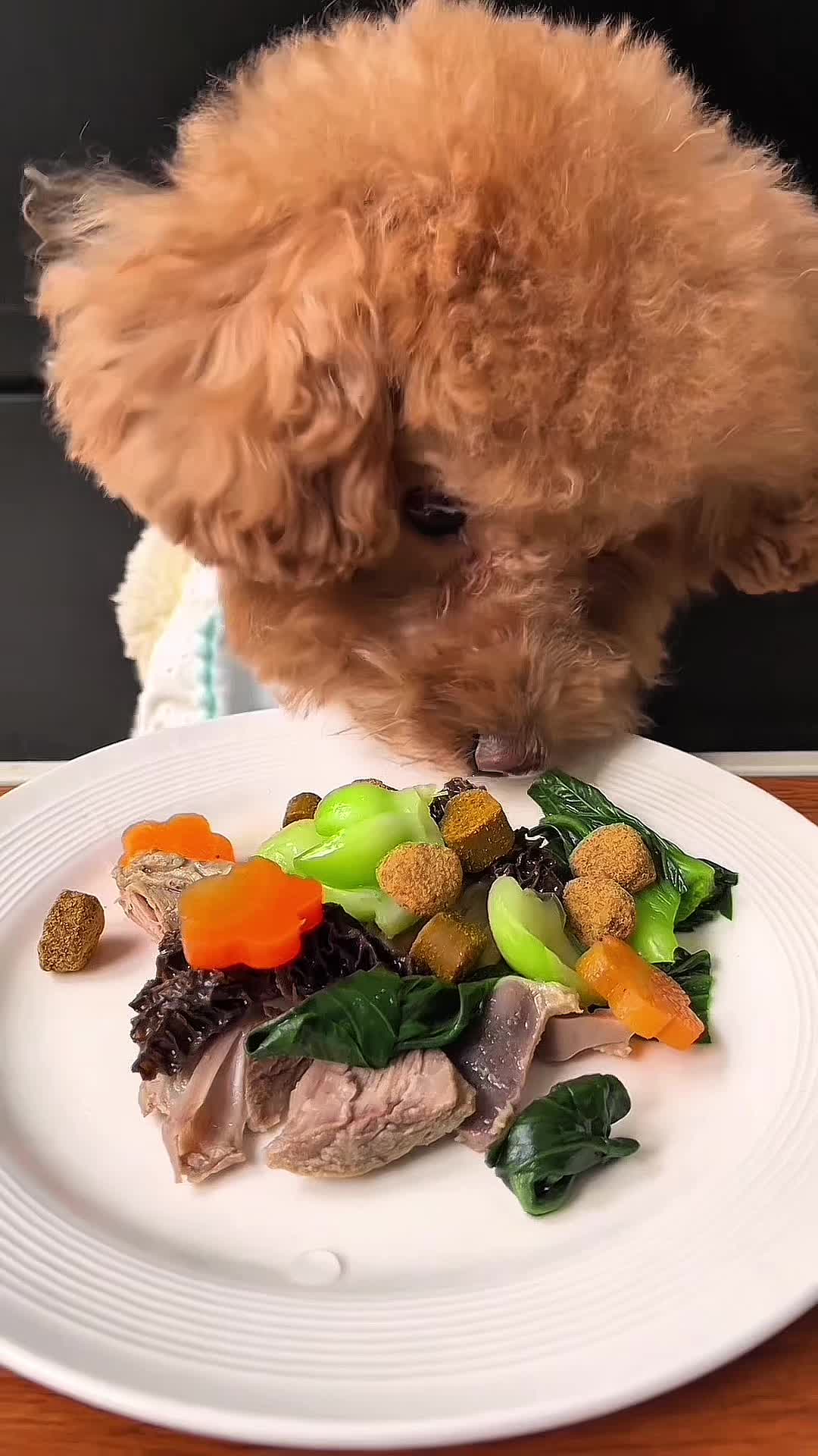 @dog eat