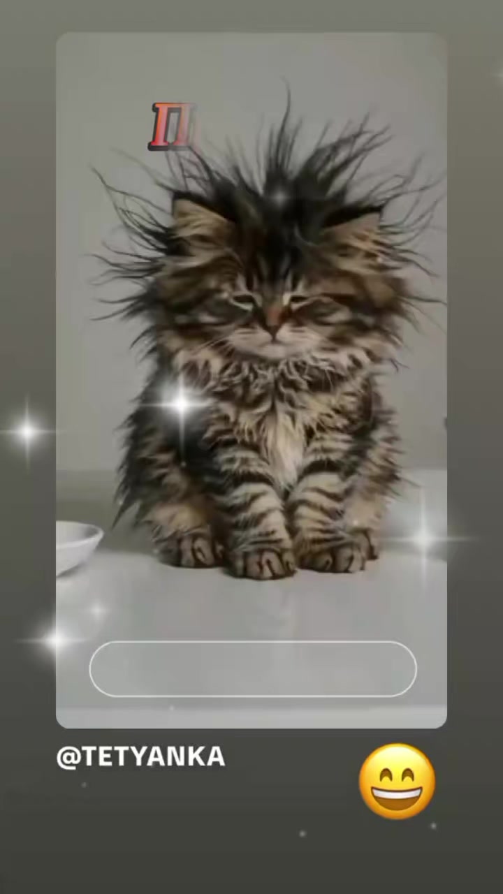@irina_das