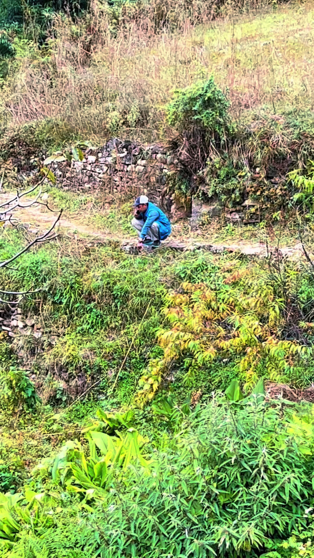@थिँयाल 🌿