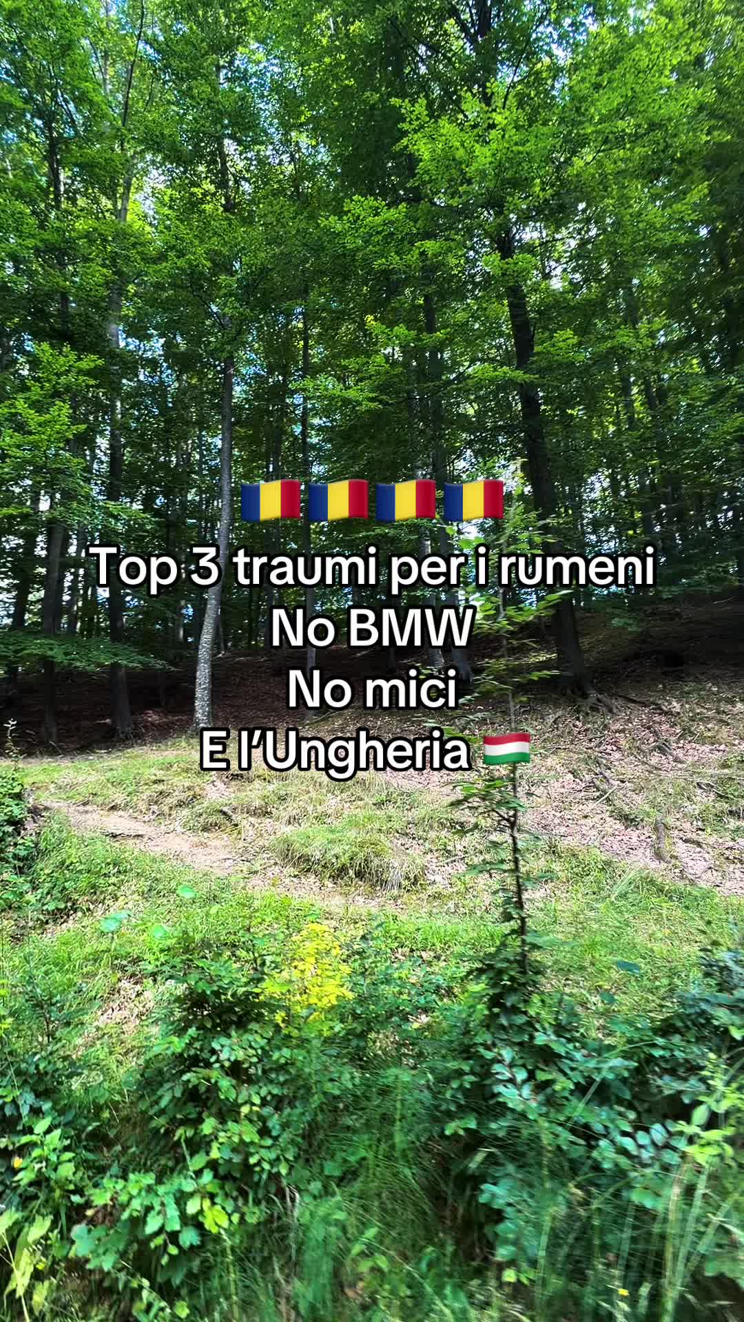@ionela.skt_