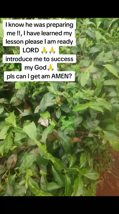 @@Winnie Mbogo