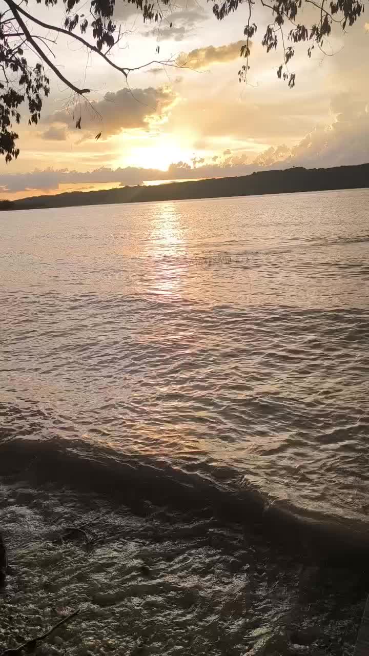 @Escorpión