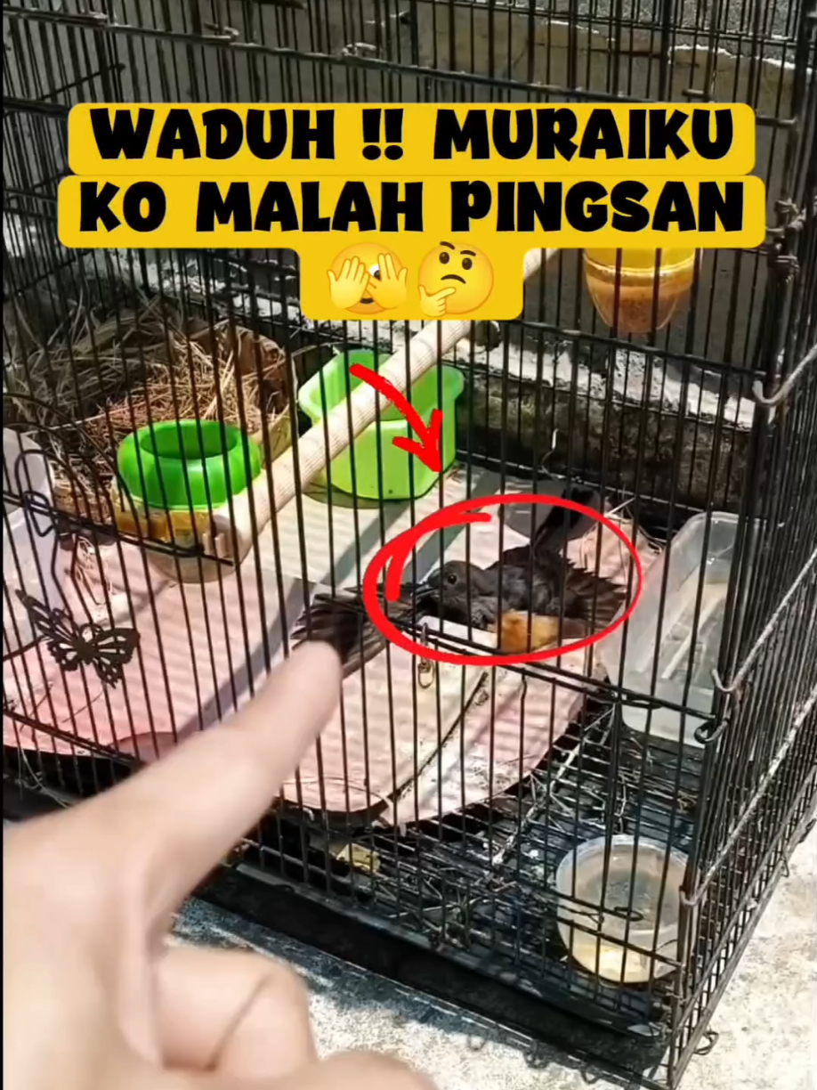 @BANG LEYON