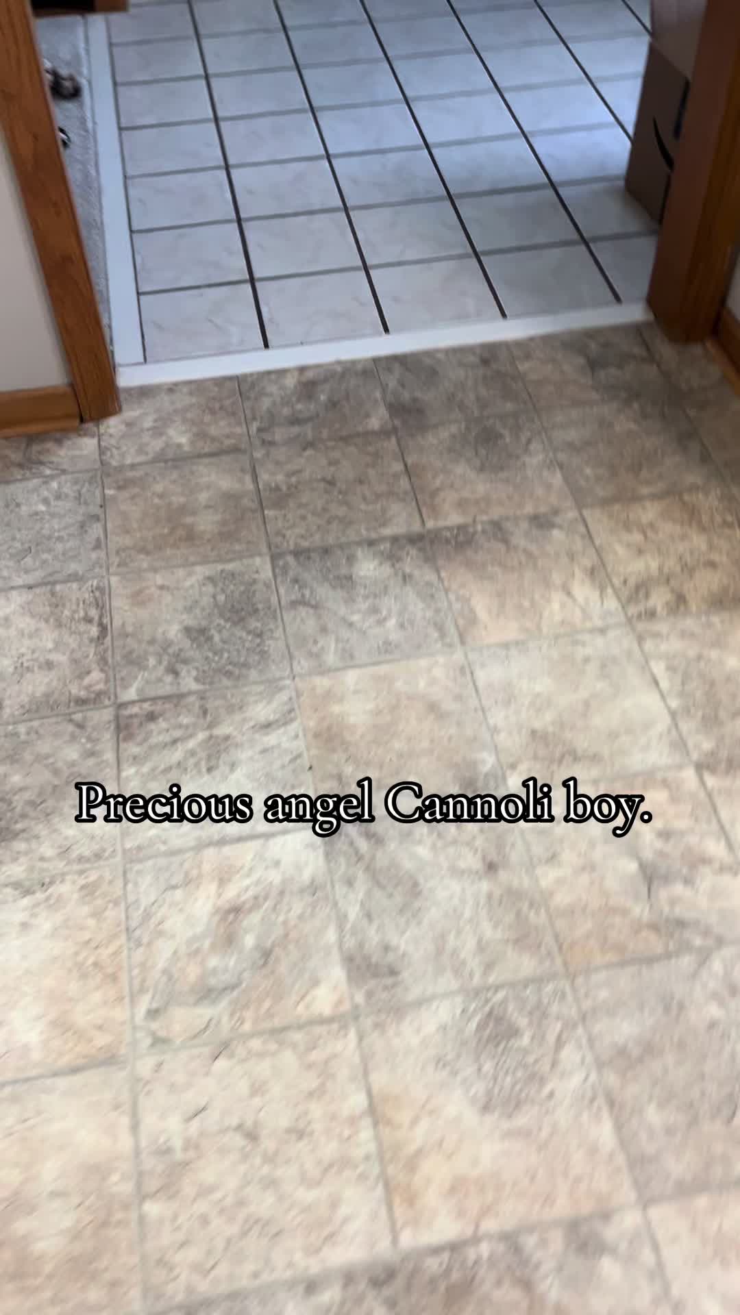 @Cannoli