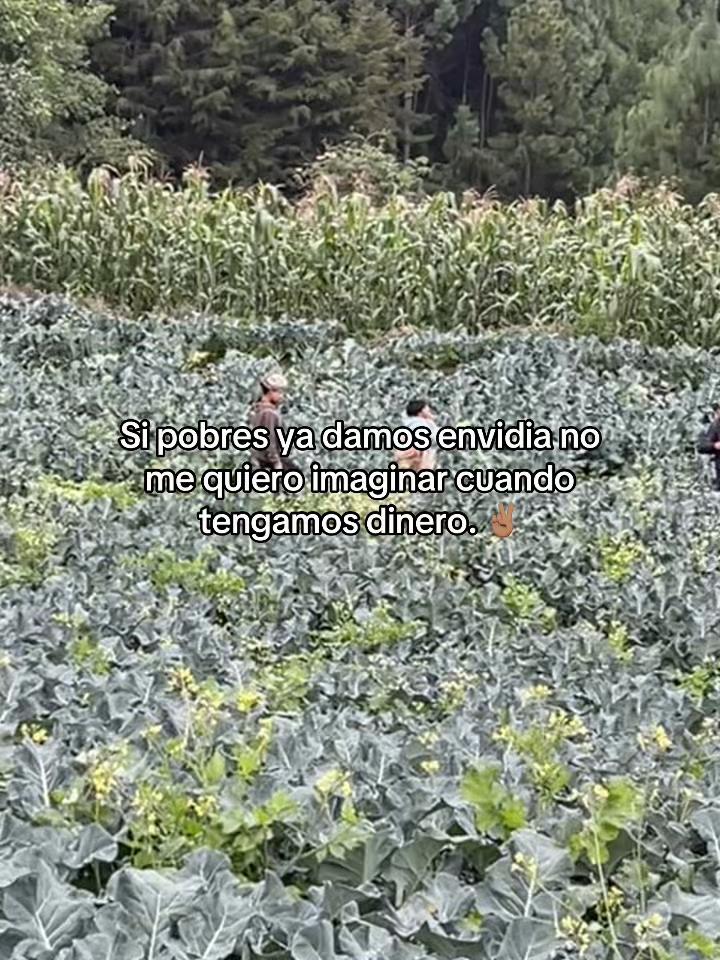 @Henry 🫡🤠