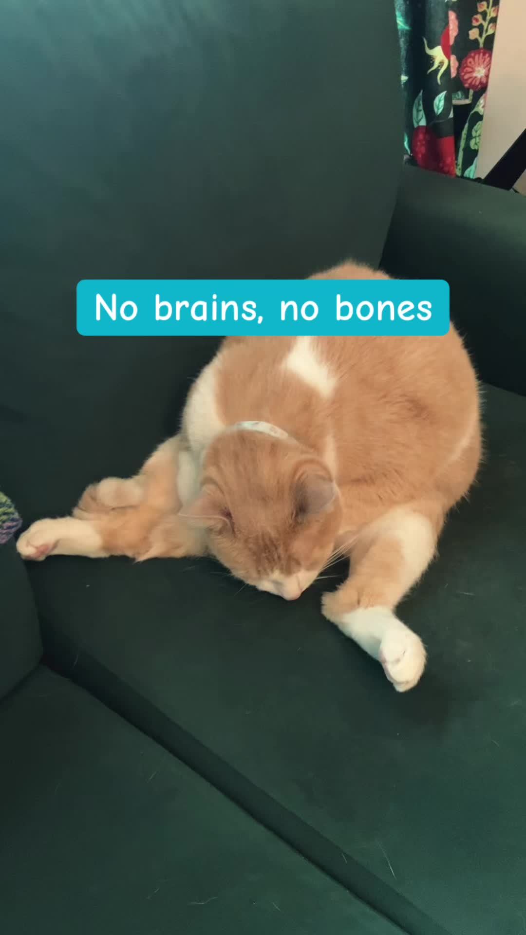 @Catd00d 🇬🇱