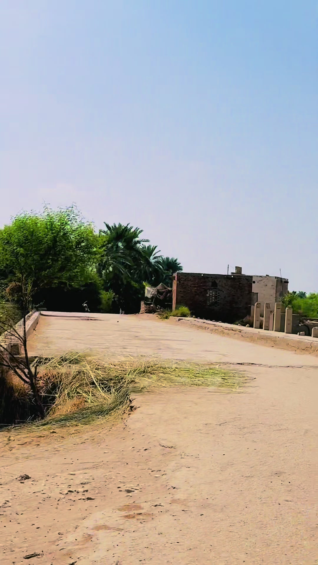 @Ali Hyder Shah