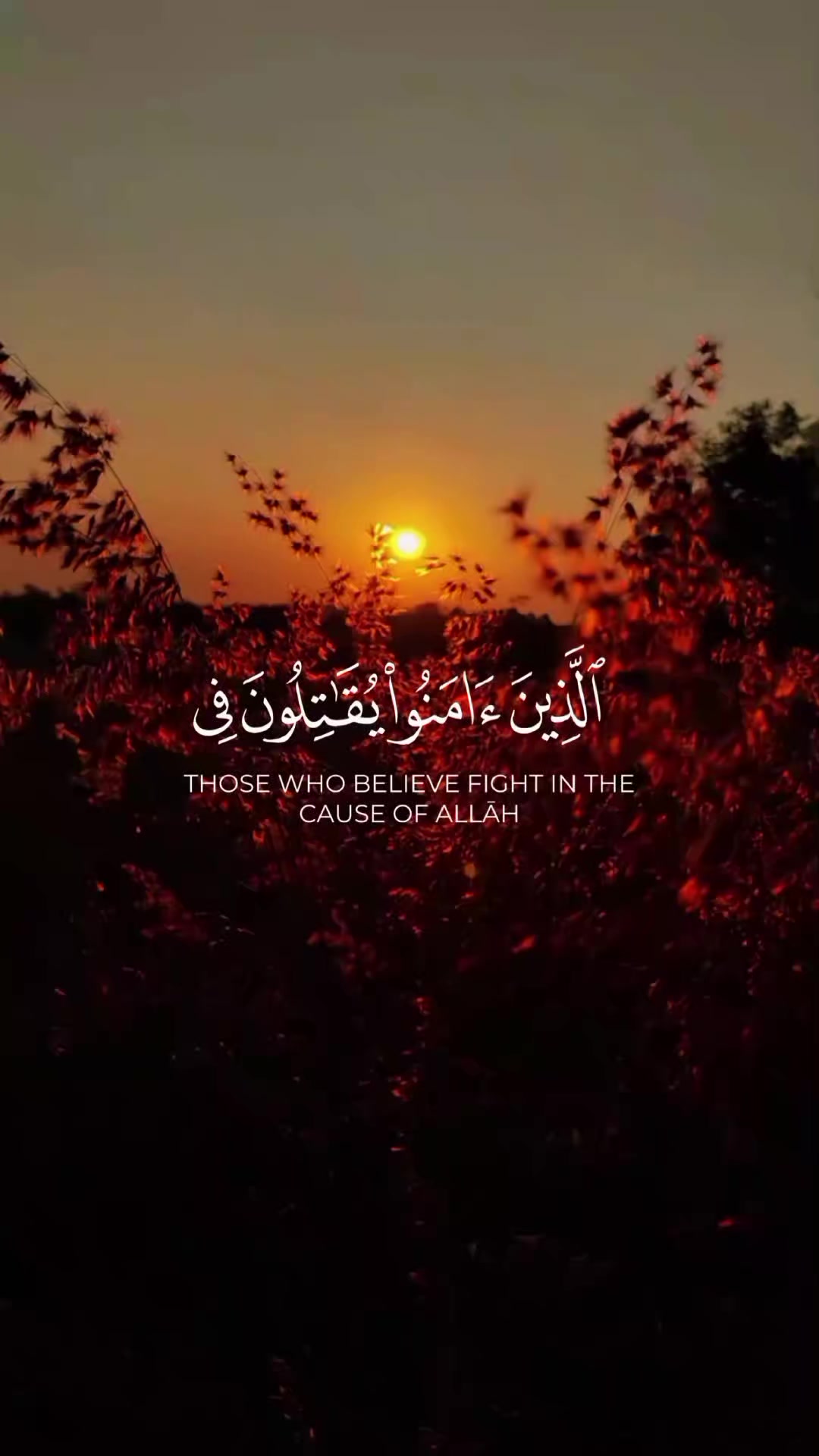 @Quran.97