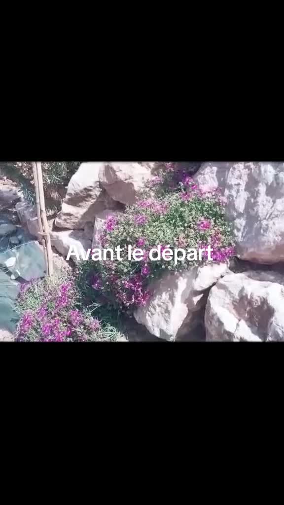 @Dacoté