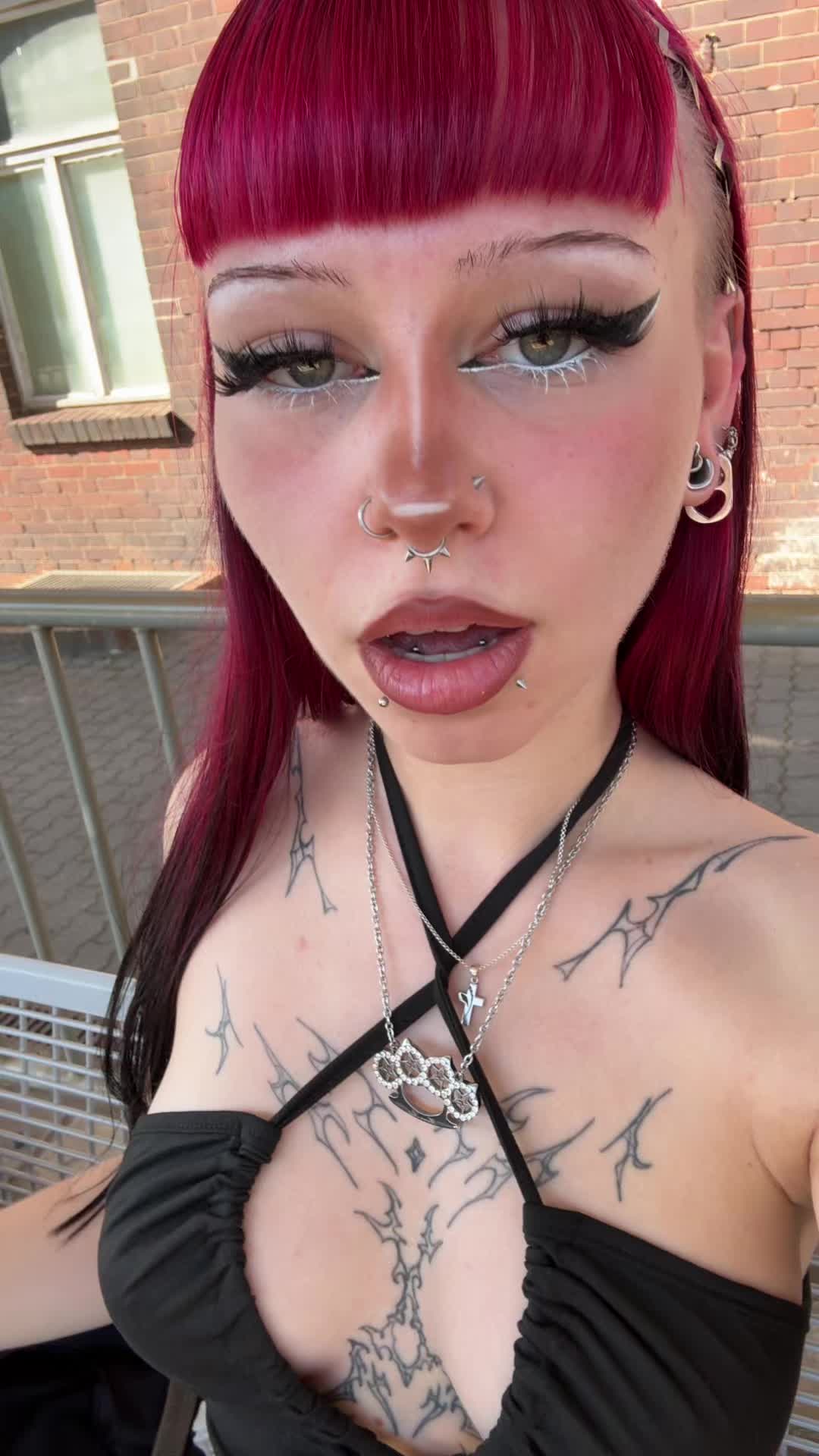 @≽^•༚•🎀≼