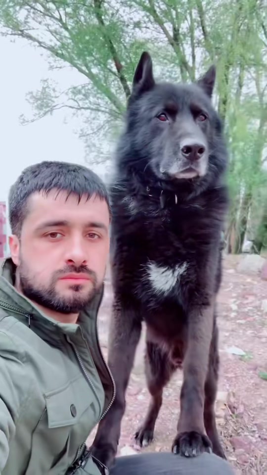 @Serkan