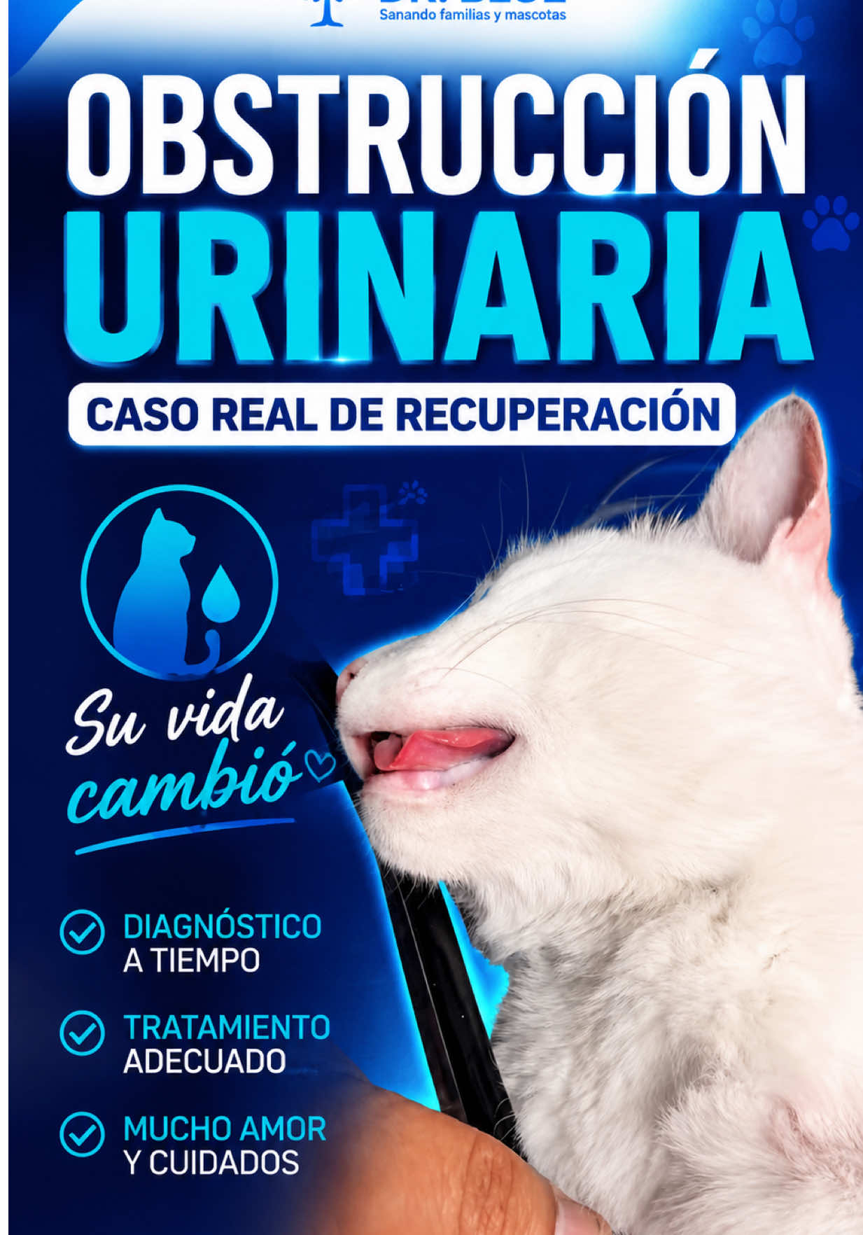 @Dr. Blue