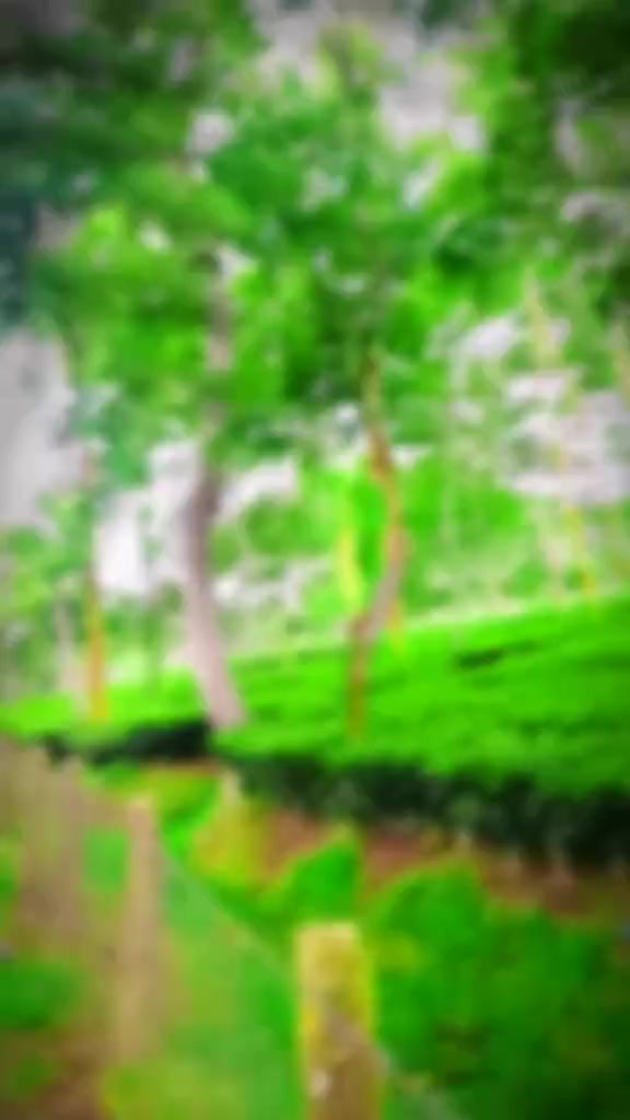 @🥀Sohid Khan Hriday🥀