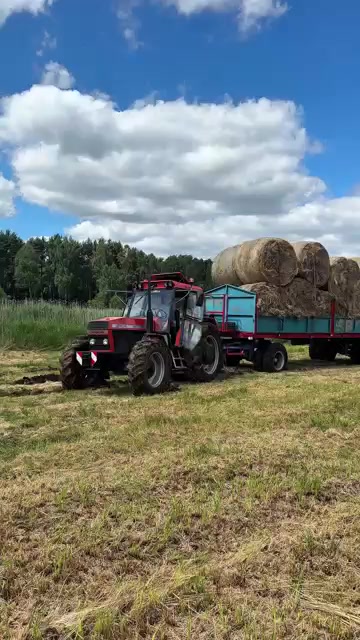 @marjanovic.00 😇