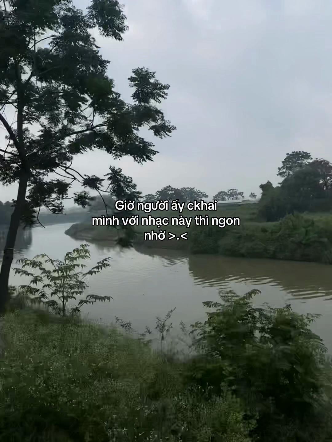 @Le Thi Như Quynh