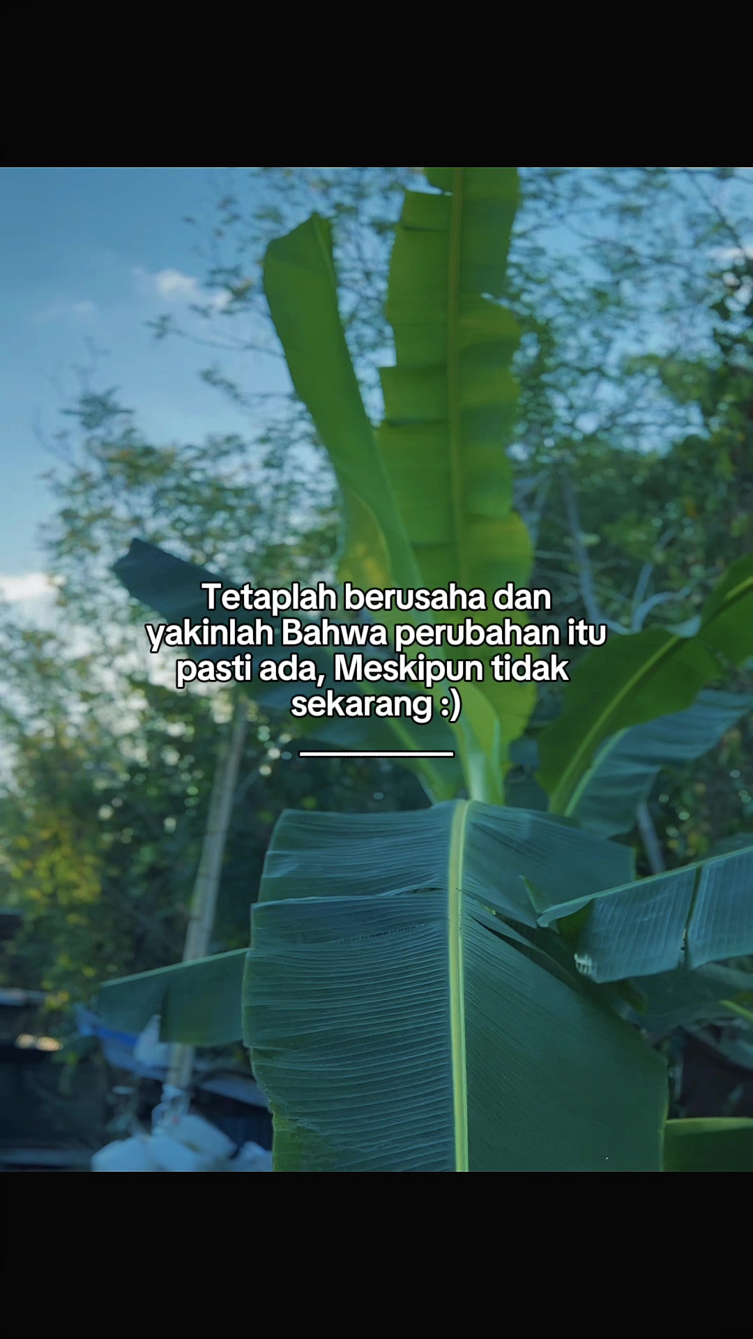 @INTROVERT