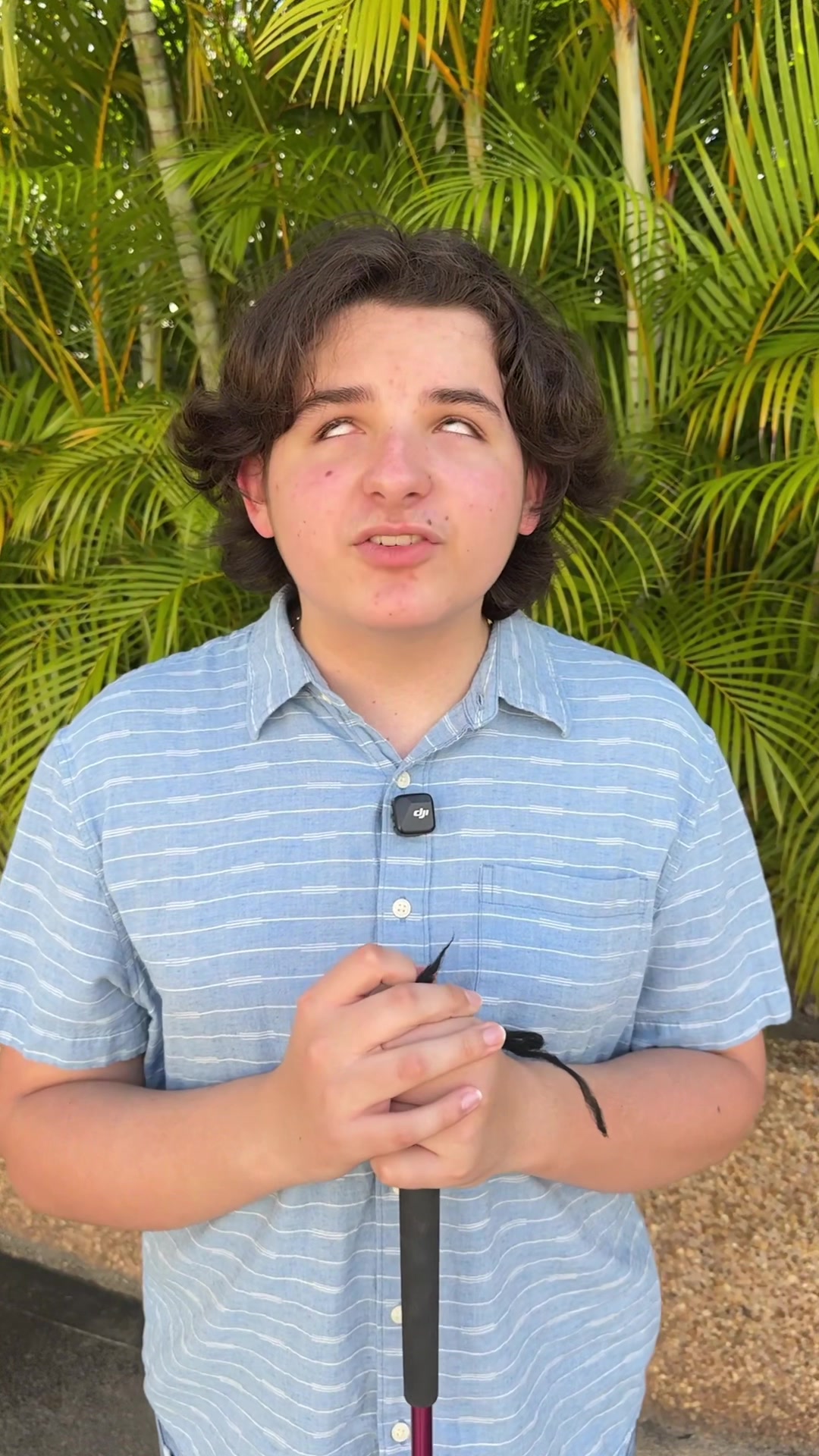 @sebasfiloramo