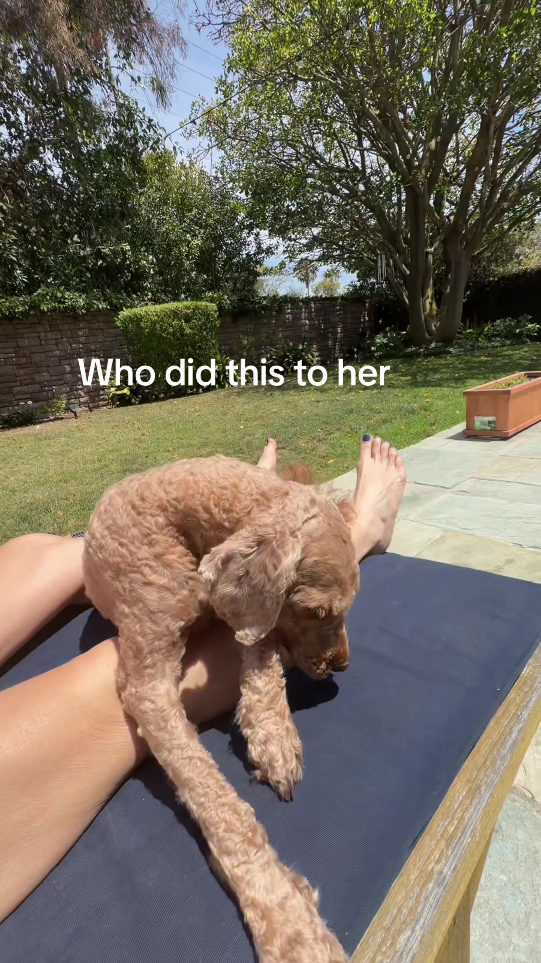 @rika