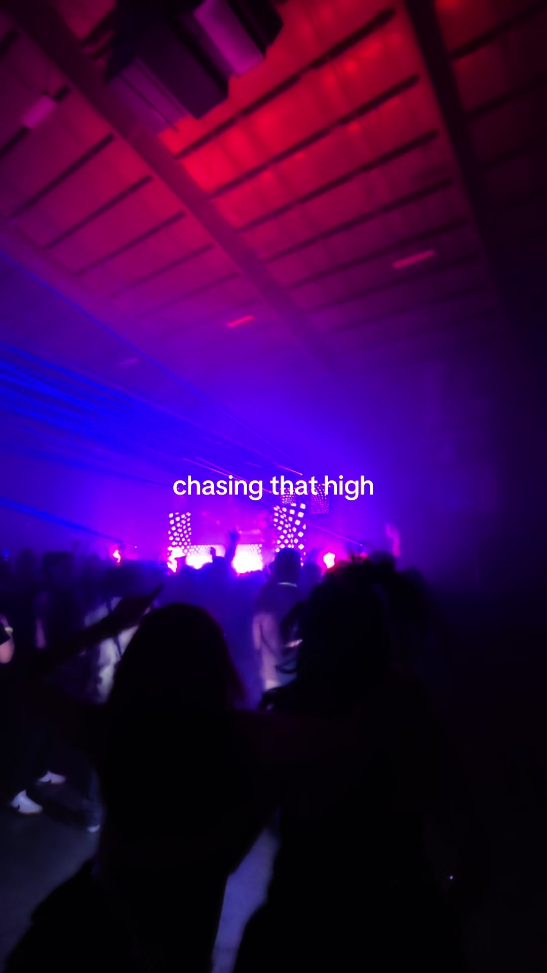 @₍^. ̫.^₎₊˚⊹♡