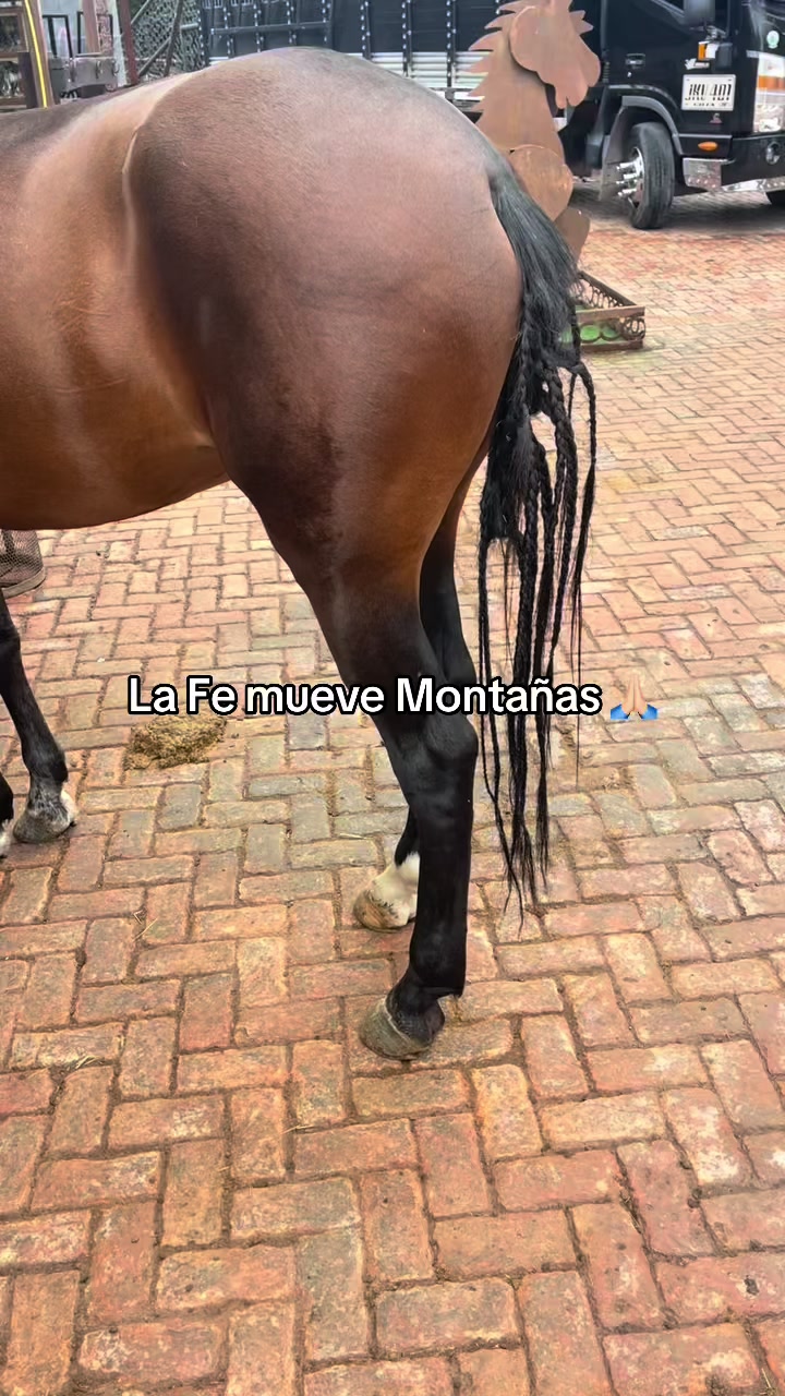 @Juan Rodríguez 🐄