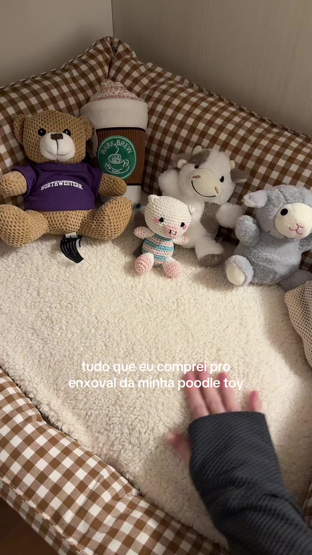 @Bela