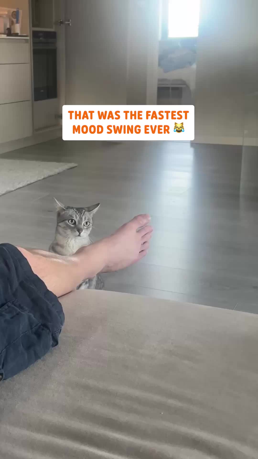 @Pawsome Pets