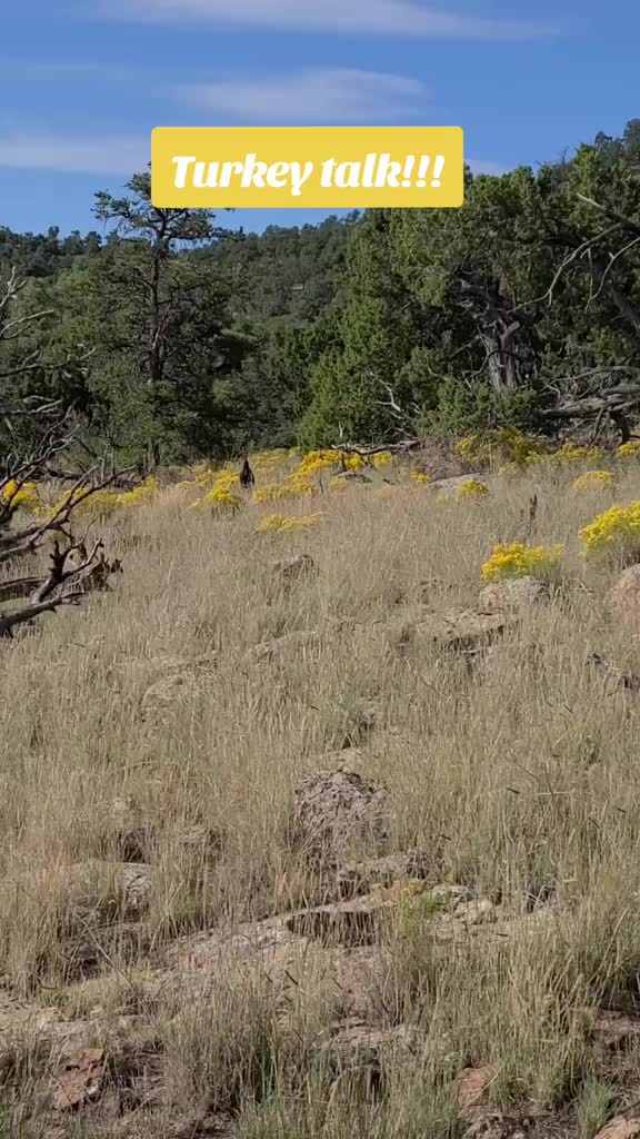 @NM Hunter