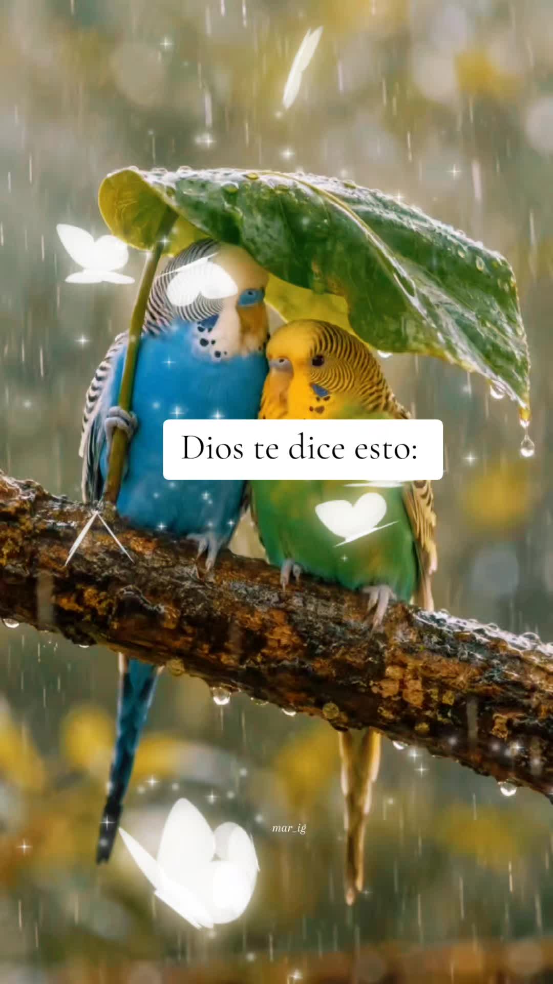 @user4259564731210