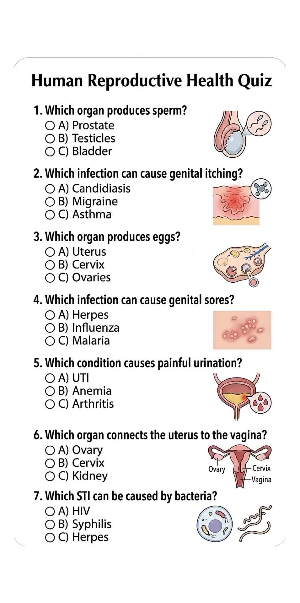 @Daily Quiz