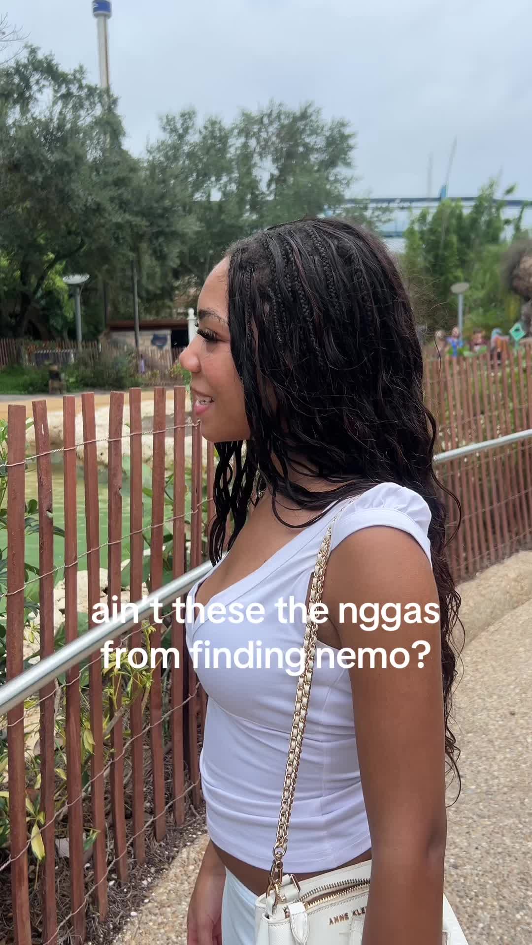 @dollarchives